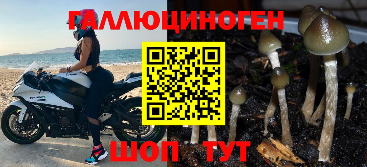 Дятьково  Псилоцибиновые грибы мухоморы  Вход с VPN 