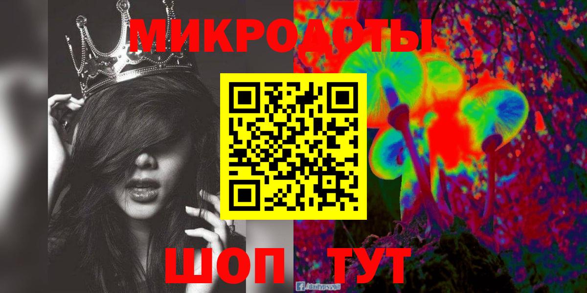 Псилоцибиновые грибы Psilocybe Дятьково